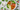 What Is a Vegetarian/Vegan Diet?