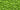 Why Pea Protein is Winning: Versatility Meets Sustainability