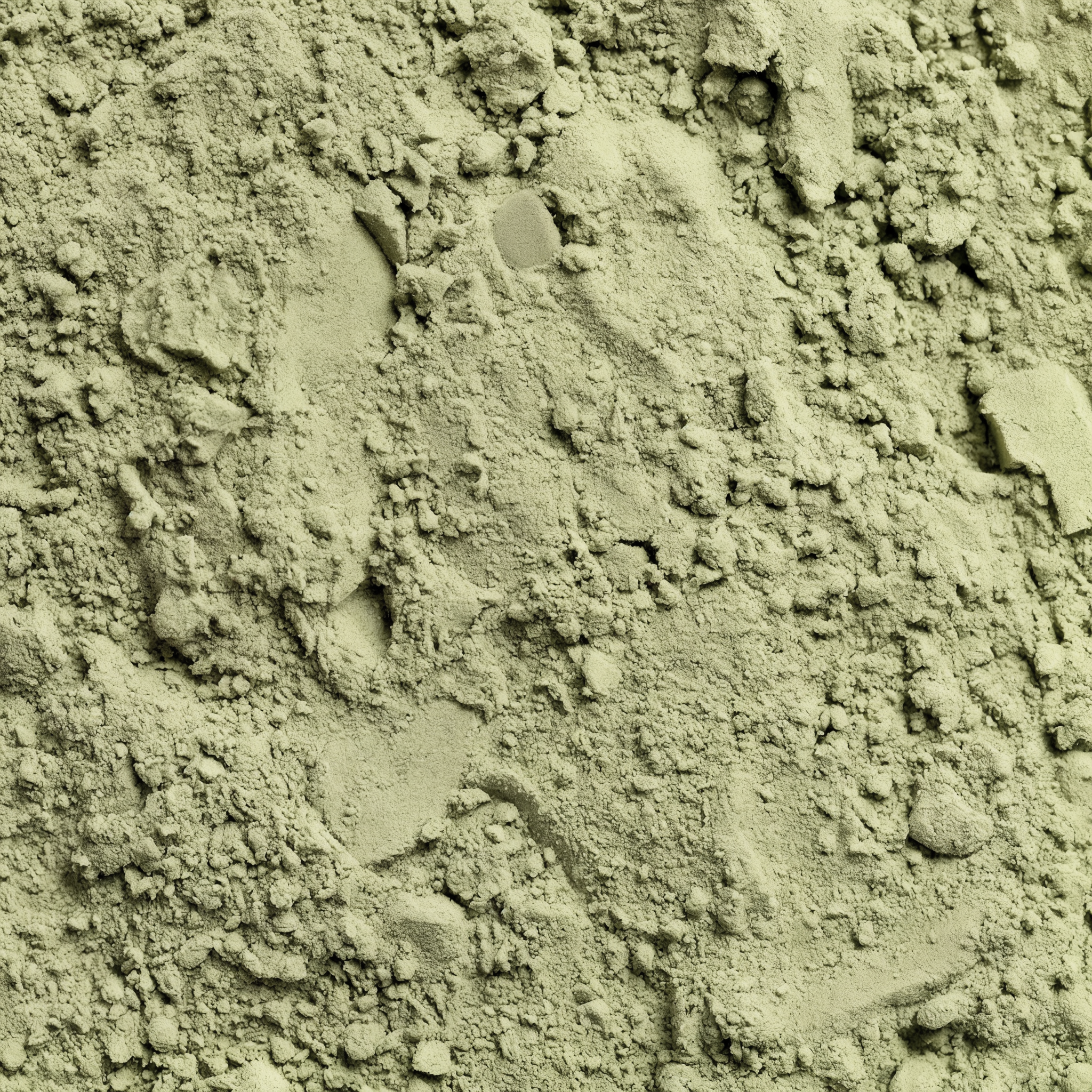 Everyday Super Greens Powder