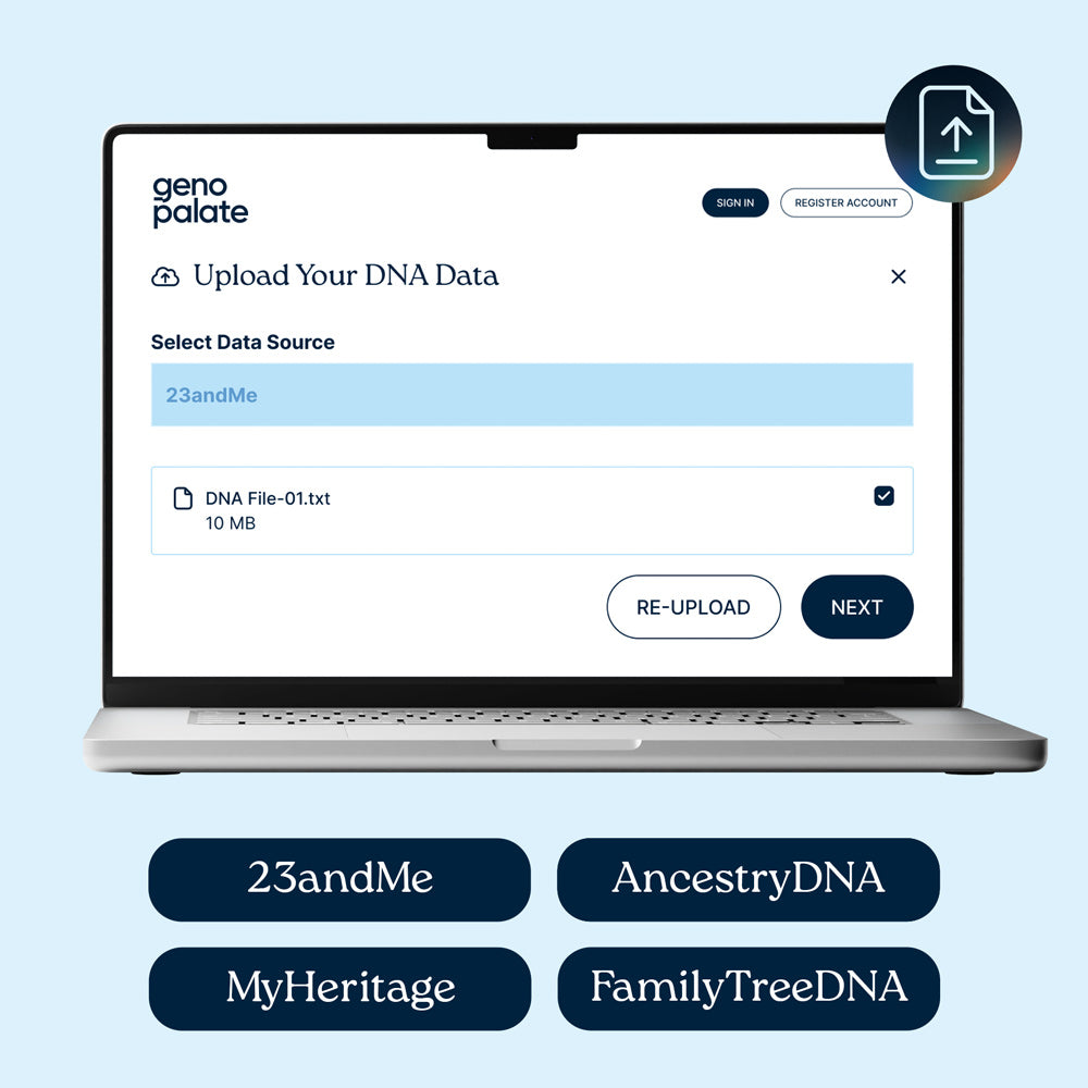 Genetic Nutrition Analysis + Nutrition Coaching Membership