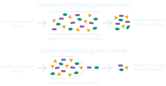 The science of genetics and DNA as it relates to your nutrition