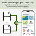 Essential Nutrition Report with Existing DNA